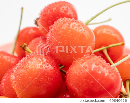 含水櫻桃(佐藤錦)的宏觀射擊與表面上的水滴 含水櫻桃(佐藤錦)的宏觀射擊與表面上的水滴 69840616