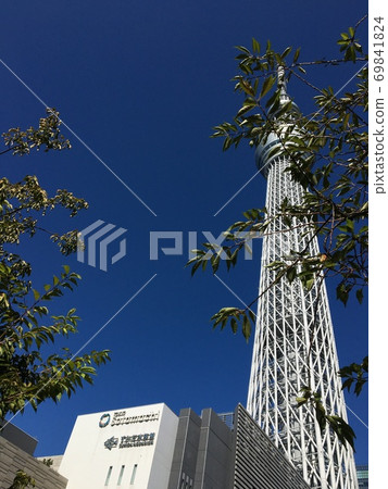 Tokyo Sky Tree seen from the Sumida River Tokyo Sky Tree seen from the Sumida River 69841824