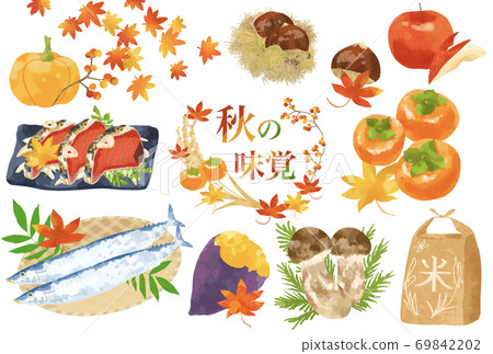 可愛觸感秋季插畫素材集食慾 69842202