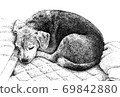 Beagle dog sleeping comfortably in bed 69842880