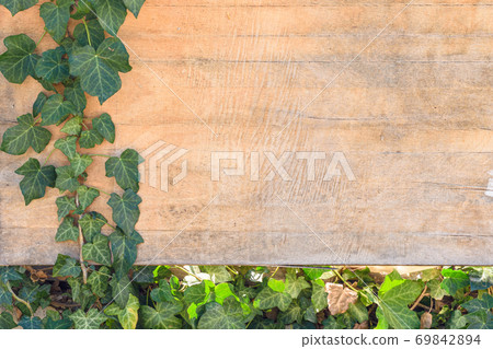 Background with empty space for pasting - ivy leaves and branches on old plywood Background with empty space for pasting - ivy leaves and branches on old plywood 69842894