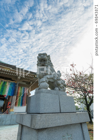 Saeki Satoshi公司 69843871