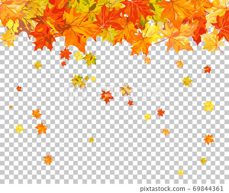 Fall (Autumn) Maple Background 69844361