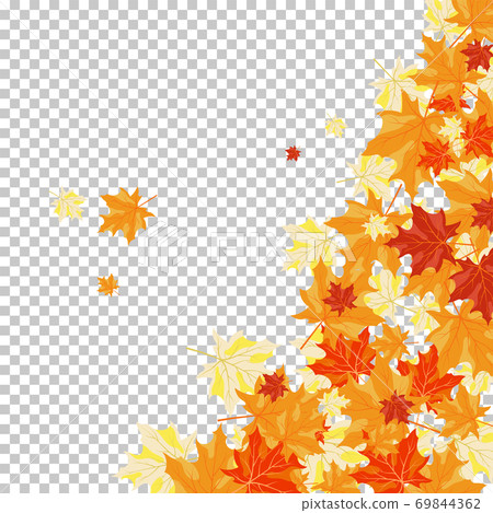 Fall (Autumn) Maple Background Fall (Autumn) Maple Background 69844362