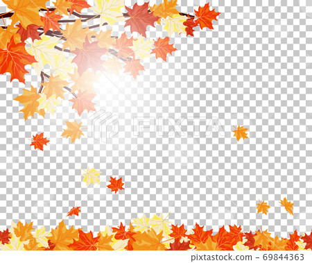Fall (Autumn) Maple Background Fall (Autumn) Maple Background 69844363