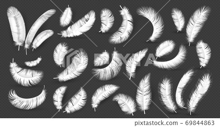 Black Feather Isolated, Swan Plume, Dark Gray Bird Feathers, Black