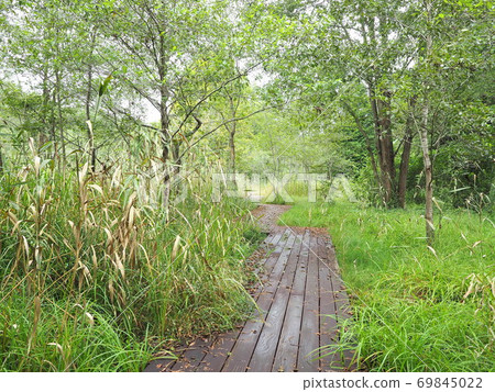Wetlands in early autumn with wooden paths 69845022