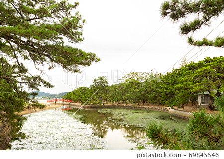 A mysterious spot in the pine forest, Matsubara in Tsuda 69845546