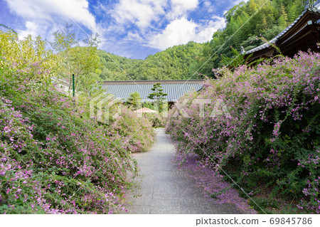 代表四國的Ha市著名景點西名寺 69845786