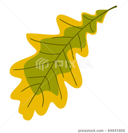 Colorful autumn oak leaf 69845808