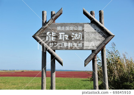 Lake Notoro / Coral grass colony (Ubaranai, Abashiri City, Hokkaido) 69845910