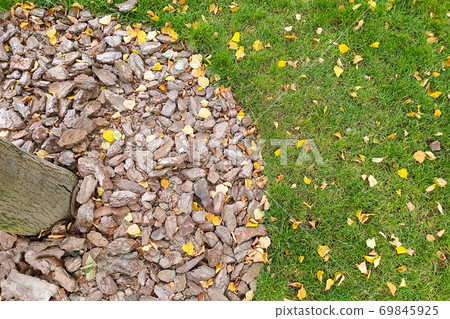 The joint of the two coatings - grass lawn and ulverised tree bark mulch. Tree care and landscaping concept. 69845925