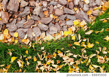 The joint of the two coatings - grass lawn and ulverised tree bark mulch. Tree care and landscaping concept. The joint of the two coatings - grass lawn and ulverised tree bark mulch. Tree care and landscaping concept. 69845930