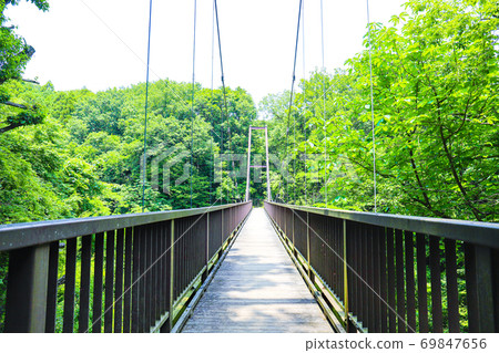 Tokyo Metropolitan Koyamadai Green Space Suspension Bridge in early summer Tokyo Metropolitan Koyamadai Green Space Suspension Bridge in early summer 69847656