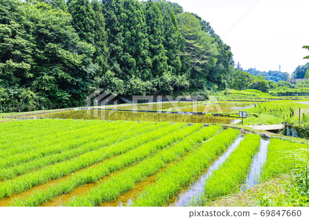 從初夏的東京都小山台綠地看到的里山景色 從初夏的東京都小山台綠地看到的里山景色 69847660