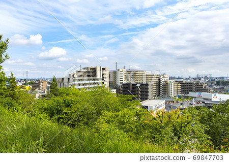 初夏東京都大山內浦浦公園東面觀景台的景色 69847703