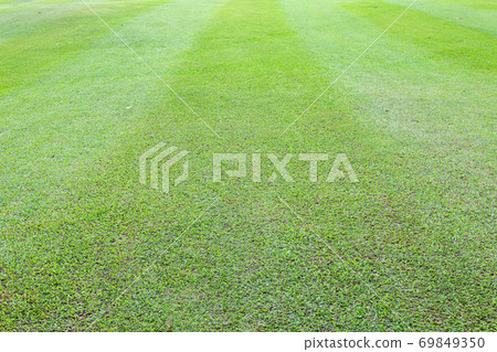 beautiful green grass field of golf course. 69849350