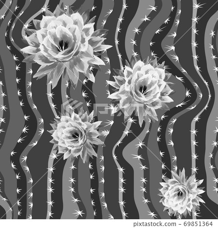 Floral seamless pattern with cactus flower texture 69851364