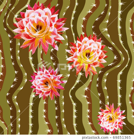 Floral seamless pattern with cactus flower texture 69851365