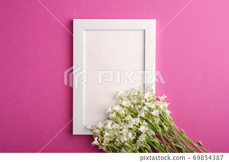 White empty photo frame mockup with mouse-ear chickweed flowers on pink purple background, top view copy space White empty photo frame mockup with mouse-ear chickweed flowers on pink purple background, top view copy space 69854387