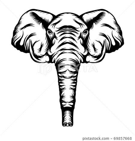 20 top Big Elephant Tattoos on Upper Thigh ideas in 2024