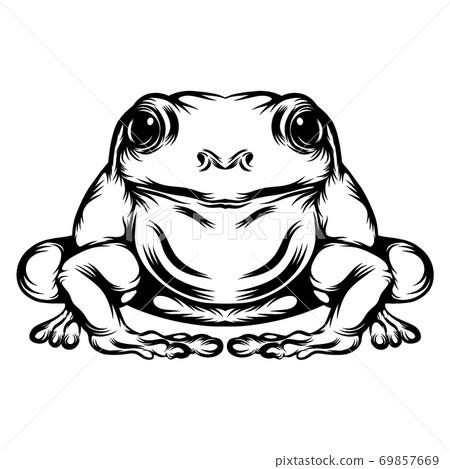 The tattoo animation of the big frog with his full body The tattoo animation of the big frog with his full body 69857669