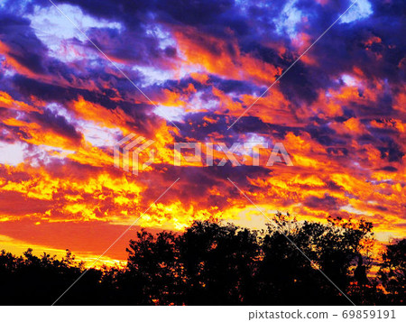 Morning and evening 69859191