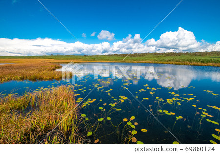 Uryunuma Marshland scenery 69860124