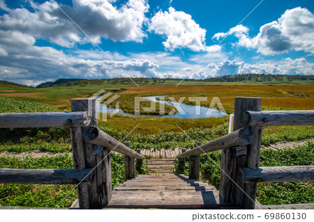 Uryunuma Marshland scenery 69860130