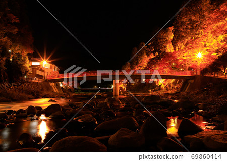 Autumn leaves and bridge Autumn leaves and bridge 69860414