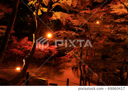 Autumn leaves and bridge 69860417