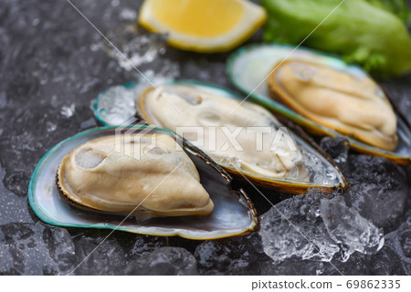 Seafood shellfish steamed mussels - Fresh mussels on black plate and ice with lemon and lettuce for cooked food Seafood shellfish steamed mussels - Fresh mussels on black plate and ice with lemon and lettuce for cooked food 69862335
