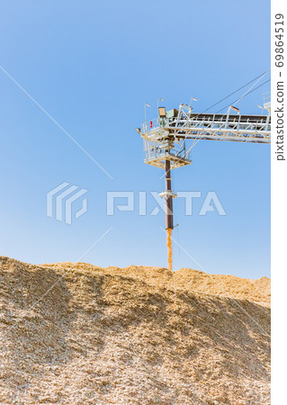 Wood chip Wood chip 69864519