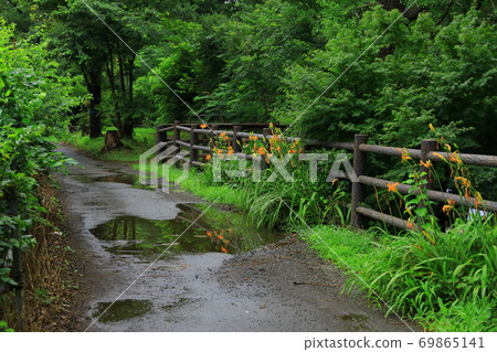 東京玉川上水 69865141