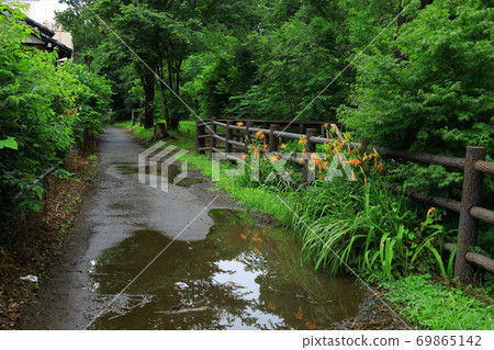 東京玉川上水 東京玉川上水 69865142
