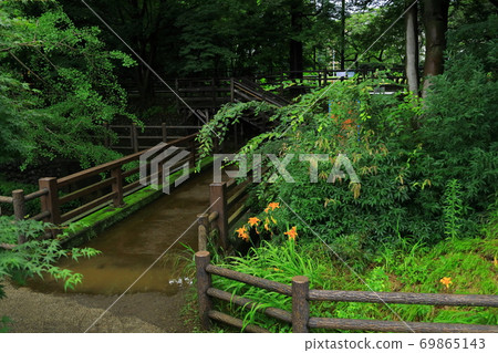 東京玉川上水 69865143