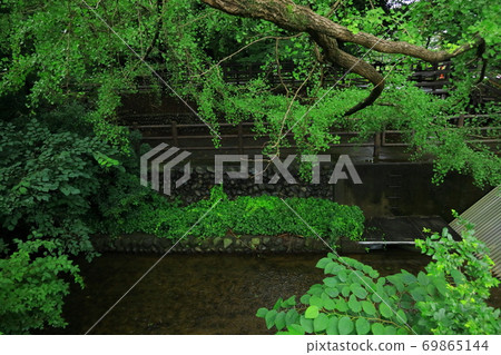 東京玉川上水 69865144