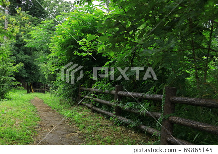 東京玉川上水 東京玉川上水 69865145