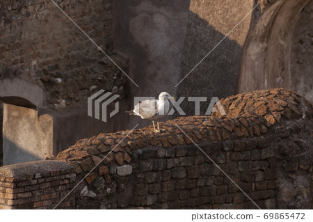 Rome, Italy - June 27, 2010 69865472