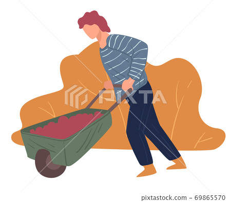 Farming man harvesting in autumn, wheelbarrow with ripe tomatoes 69865570