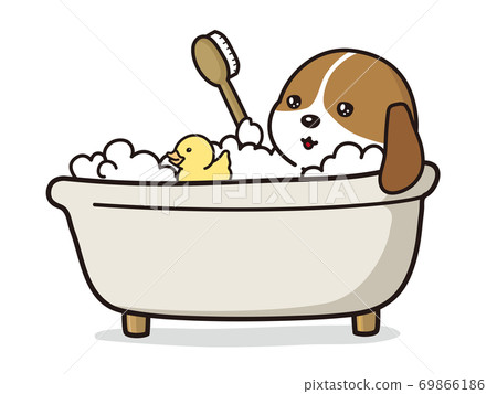 小獵犬，一隻小狗和鴨子玩具在泡泡浴中沐浴 69866186