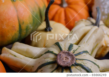 Assortiment of pumpkins background 69866249