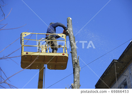 Municipal worker cutting dead standing tree with chainsaw using truck-mounted lift Municipal worker cutting dead standing tree with chainsaw using truck-mounted lift 69866453