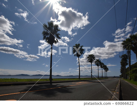 Nishiura Seaside Road, Gamafornia with beautiful palm trees 69866622