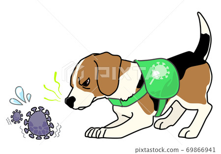 Image illustration of quarantine detection dog / corona detection dog-Beagle Image illustration of quarantine detection dog / corona detection dog-Beagle 69866941