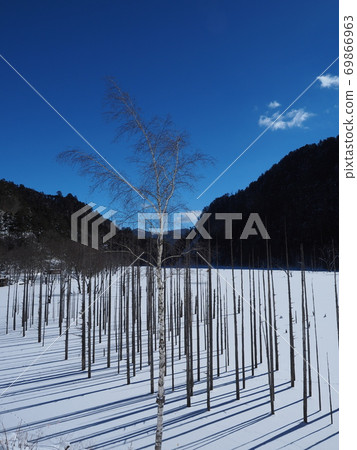 信州冬季美景!凍天然湖 信州冬季美景!凍天然湖 69866963