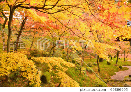 Komyozenji Temple surrounded by autumn leaves 69866995