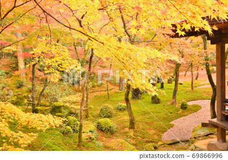 Komyozenji Temple surrounded by autumn leaves Komyozenji Temple surrounded by autumn leaves 69866996