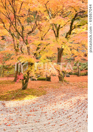 Komyozenji Temple surrounded by autumn leaves 69867044