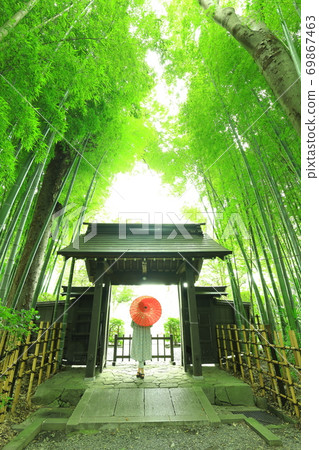 府中市妙高院 府中市妙高院 69867463